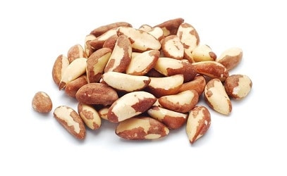 maximaal vereist Plakken Raw Brazil Nuts | Buy Nuts | Bulk Nuts - farmfreshnuts