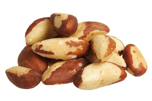 Roasted Brazil Nuts (Salted) | Brazil Nuts 